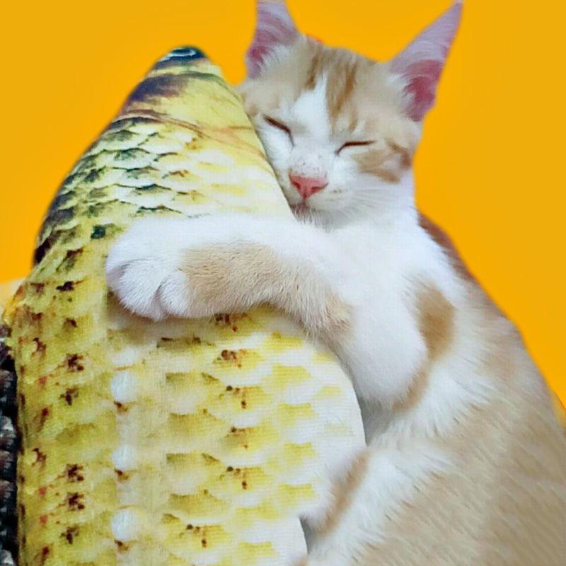 Cat Fish Toy Scratcher Interactive Simulation Hi Relaxation Puppet Pussy Pet Supplies Stuffed Playing