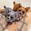 Cute Pet Dog Stuffed Doll Realistic Baggle Dog Toy Room Decor French Bulldog Plush Children's Toy