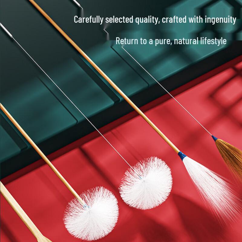 Professional 10-Piece Ear Cleaning Tool Kit