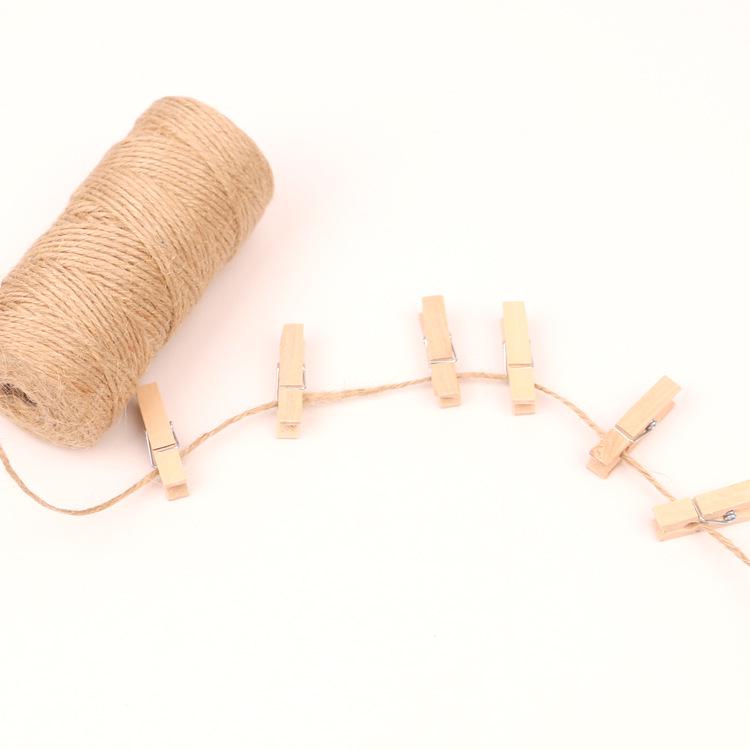 Plain Color Wooden Clothes Pegs - 100-Pack, Multiple Sizes, Small Clips