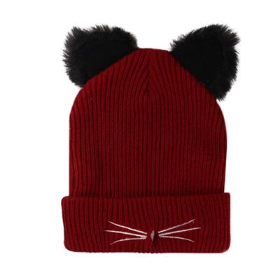 Winter Ladies Embroidered Knitted Hat Girls Cute Warm Hooded Hat Versatile Cap Fashion Windproof Cold Proof Outdoor Cycling Hat