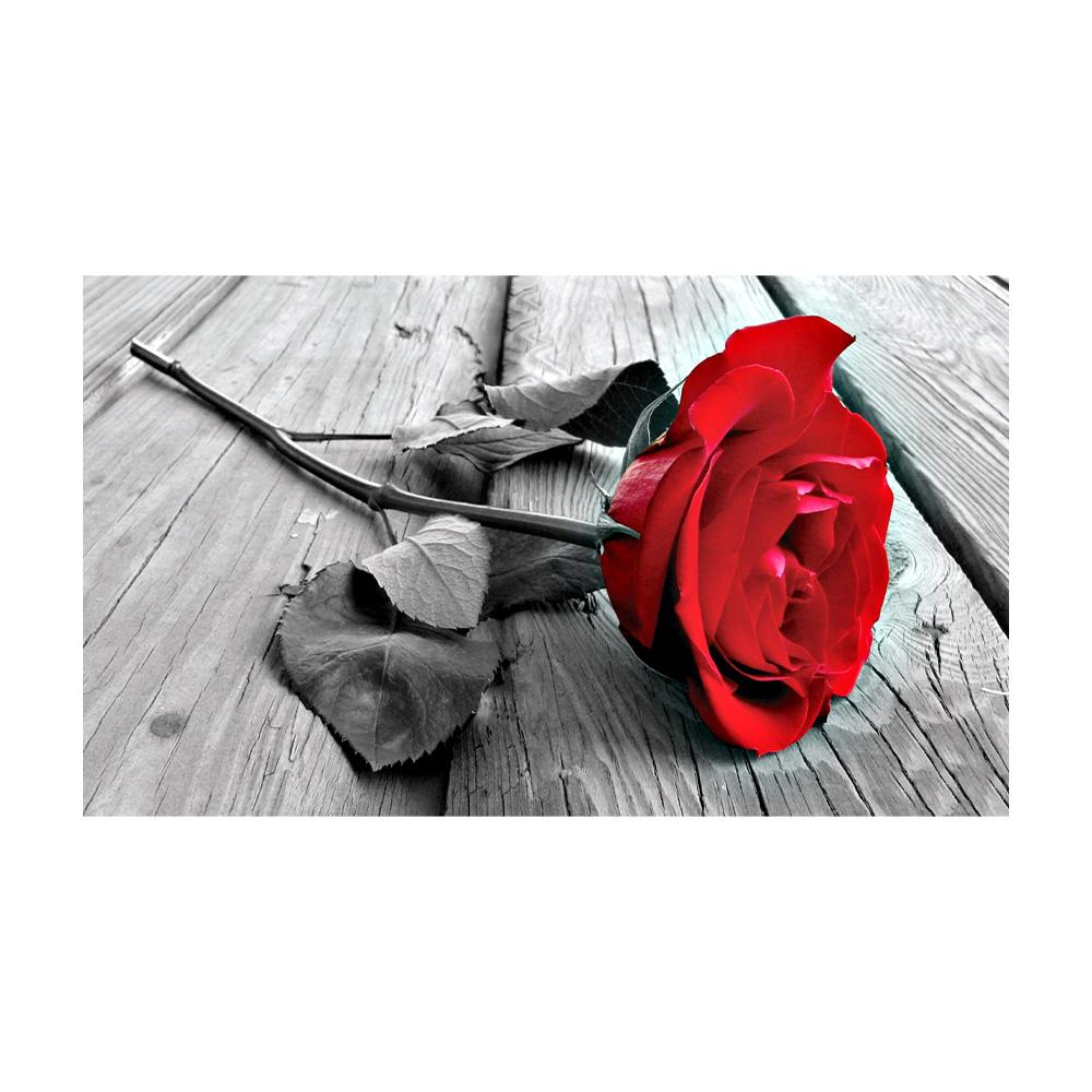 

Современные цветы Постер Принт Настенное искусство Холст Живопись Красный мак Цветок Картина на стене для гостиной Домашний декор 20x30cm