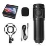 Condenser Microphone Small Set Mobile Phone Computer Anchor Live Karaoke Recording Microphone