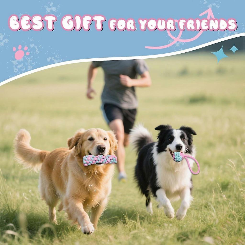 8Pack Dog Rope Toys, Interactive Tough Chew Toys for Small and Medium Dogs, Clean Teeth and Relieve Boredom, Tug of War, Aggressive Chewers, Cotton Ro