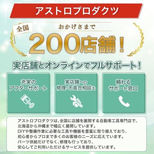 Astro Products 48-Piece Inch Tool Set, TS183