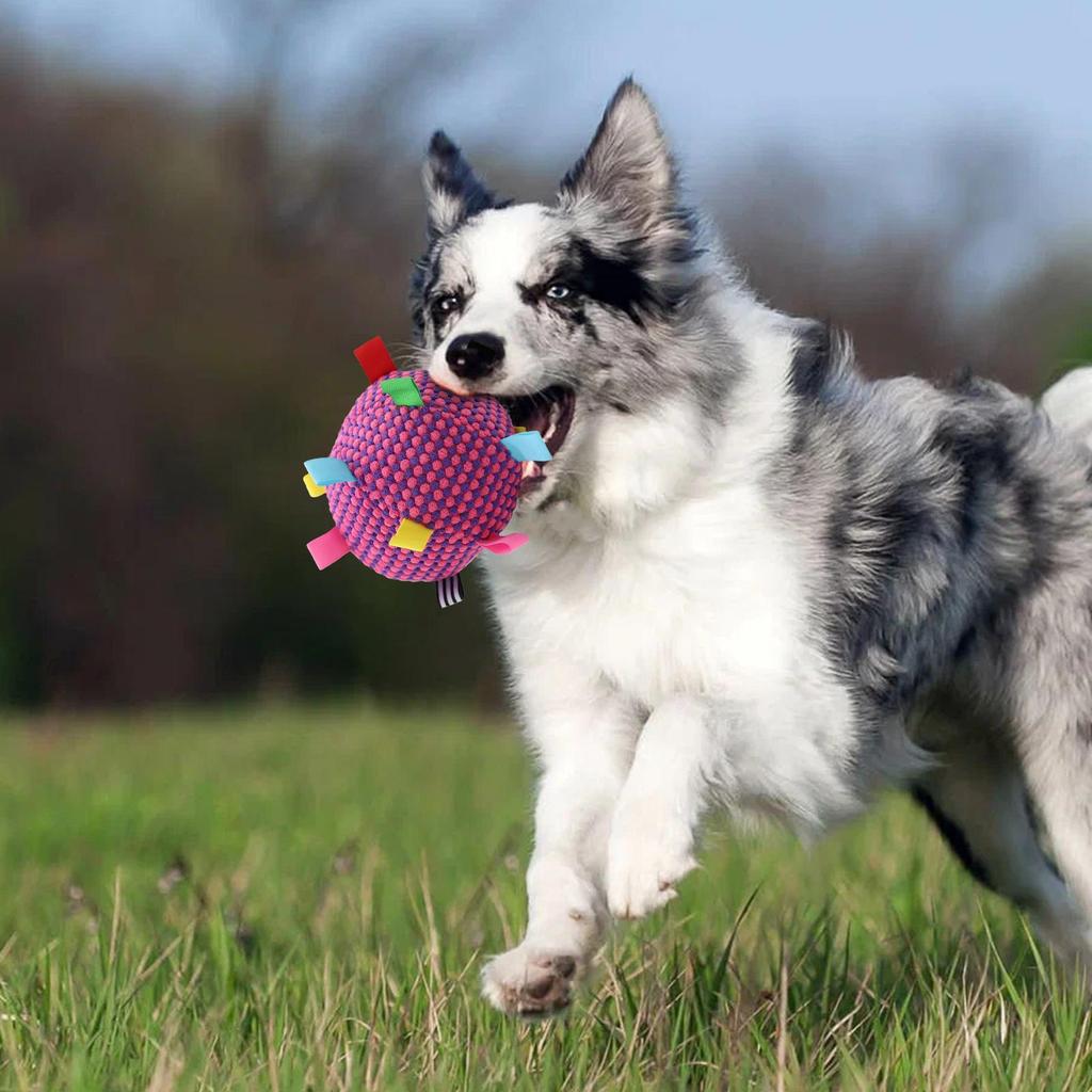 Plüsch-Hundespielzeugball mit Gesang, lustiges interaktives Haustierspielzeug mit Glöckchen, Zahnreinigungs-Kauspielzeug für kleine und große Hunde, Katzen, Welpenspielzeug