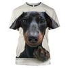 New Funny Animal The Dachshund graphic t shirts Men Summer Fashion Casual quick-drying t-shirt 3D Printed streetwear Tees Tops