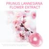 LAIKOU Sakura Eye Serum Anti Dark Circles Eye Cream Roller Massage Vitamin C Hyaluronic Acid Eye Bags Cream Moisturizing Skin Care