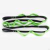 Fitness Pull Belt for Physical