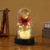 Creative sunflower gift ornament, home decoration night light immortal flower sunflower plastic cover black base