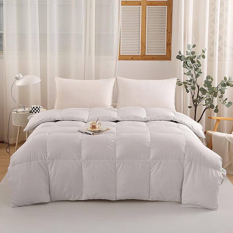 Shengfuni Cloud Soft Nano Pearl Fiber Quilt