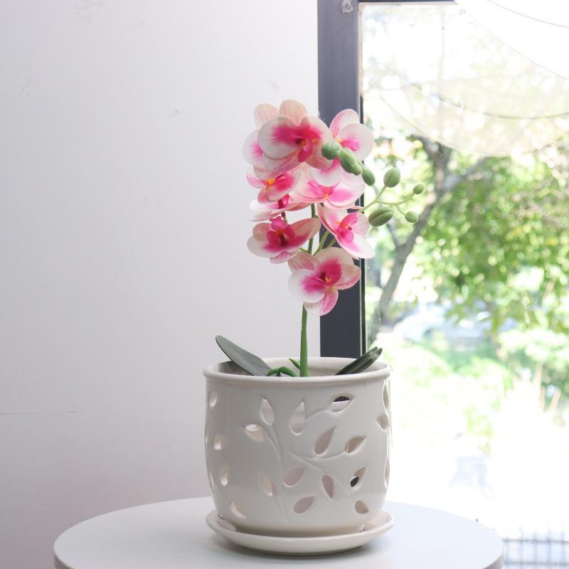 WTEMPO Classic White Ceramic Orchid Planter Pot Irregular Shape Polished Finish Drainage Hole Indoor & Outdoor Bonsai Pot for Home Decorative Pot