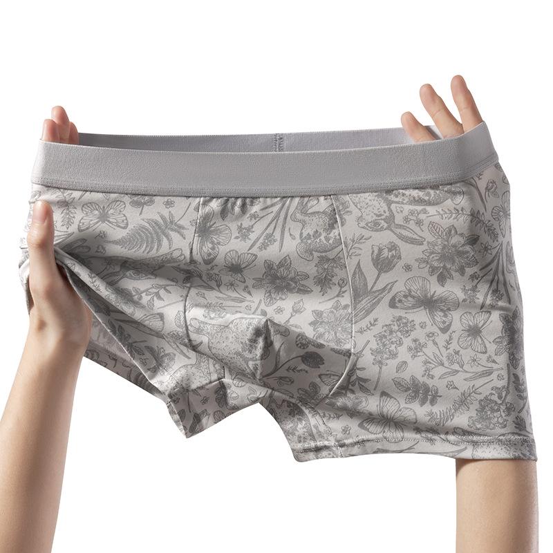 Stilvolle Herren-Boxershorts - Antibakterieller Maulbeerseiden-Zwickel, Atmungsaktive Baumwolle, Komfortabler Mid-Waist