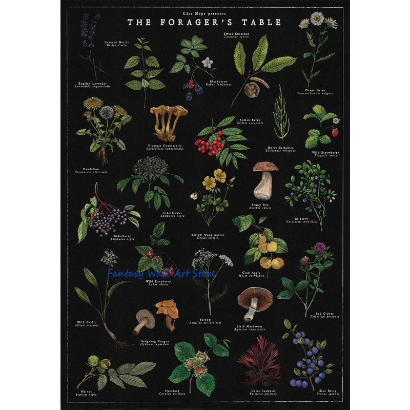 Retro Botanical Artworks British Trees Foraging Wild Food Mushrooms Wildflowers Poster Canvas Painting Wall Pictures Home Decor