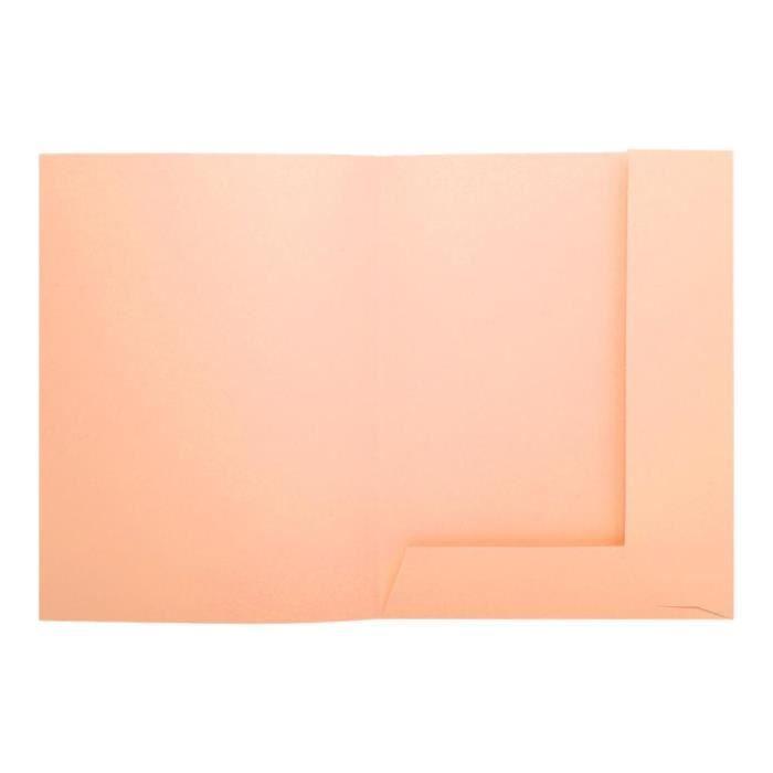 Exacompta SUPER 250 A4 Folder with 2 Flaps for 200 Bubble Sheets (pack of 50)