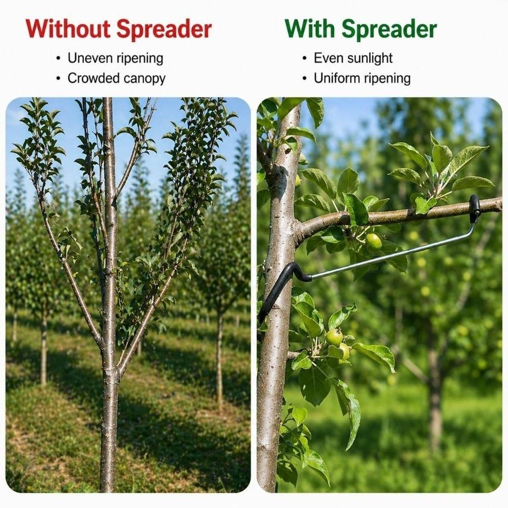 10 PCS Rubber Hooks Branch Bender Metal Tree Branch Spreader Tree Shaping Limb Spreader  Fruit Trees