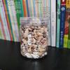 Mini Colorful Seashell Mix (0.5-2CM) In Transparent Storage Jar