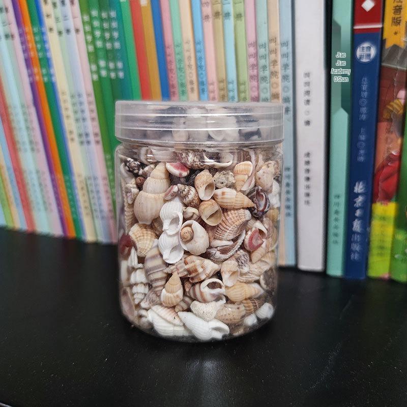 Mini Colorful Seashell Mix (0.5-2CM) In Transparent Storage Jar