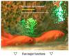 Rockery Circulating Water Fish Tank for Living Room - Small/Medium Aquariums & Desktop Goldfish Tank