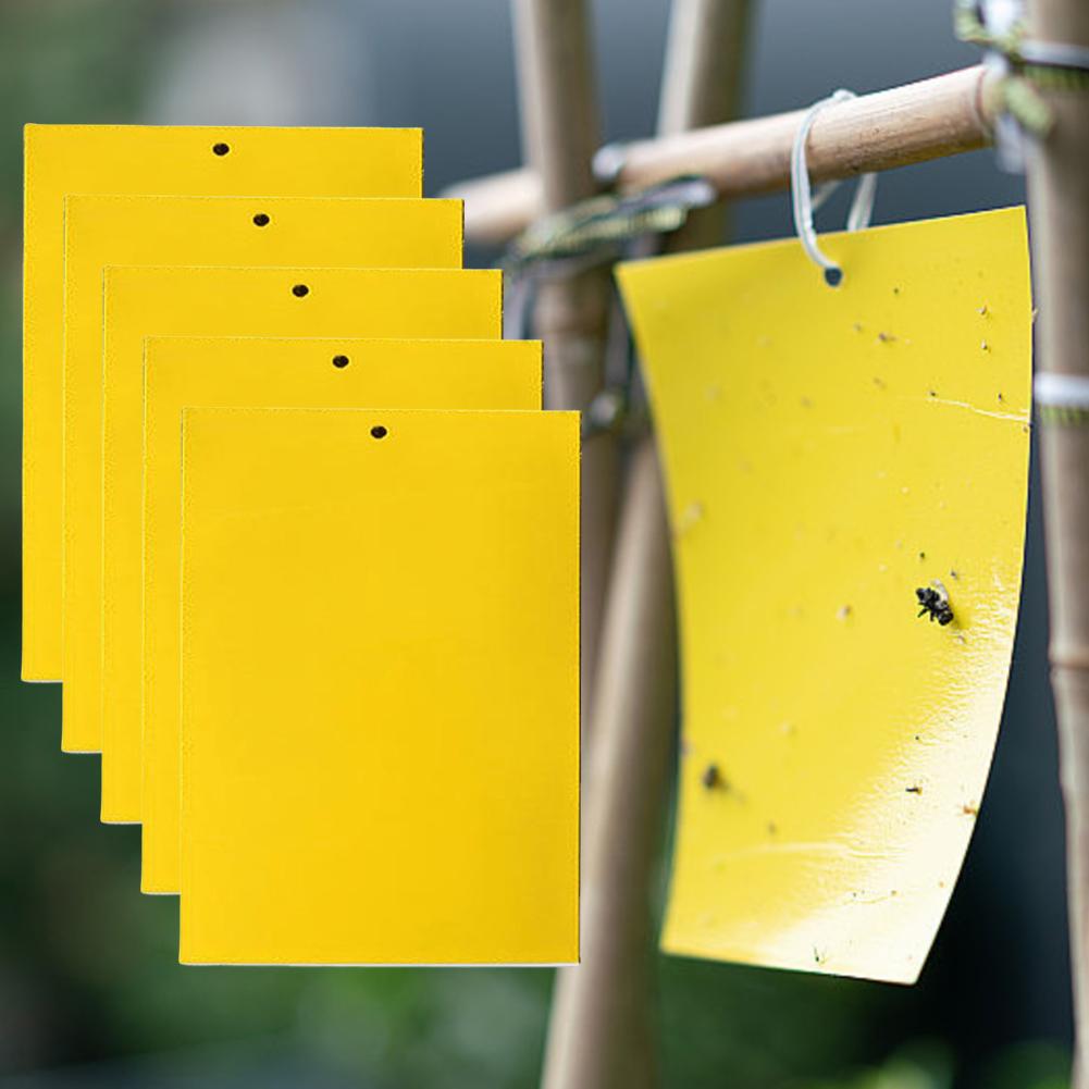 30/50/100 Pcs Sticky Traps Double Sided 8x6/8x4 Inch Fruit Fly Traps Gnat Killer for Flying Plant Insect Like White Flies Aphids