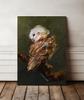Poster Owl Abstract Picture
