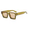 Lightweight Leopard Print Sunglasses Multicolor Men UV400 Eyewear  Photography