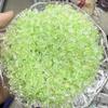 Acrylic Mini Grape Leaf Beaded String for DIY Jewelry Making: Bracelets & Necklaces