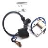 Ignition Coil Scooter Replacement Motor Motorcycle Scooter Racing Bicycle Spark