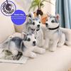 Lebensechte flauschige Husky-Stofftiere Welpenspielzeug Realistische Huskies Mollige Anime-Kissen Superweiches Sibirischer Husky Spielzeug Plüsch Niedliche Welpenpuppen Geschenke, 25CM