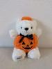 [USED] ANA Teddy Bear, Excellent Condition, Comes with Original Bag, Halloween