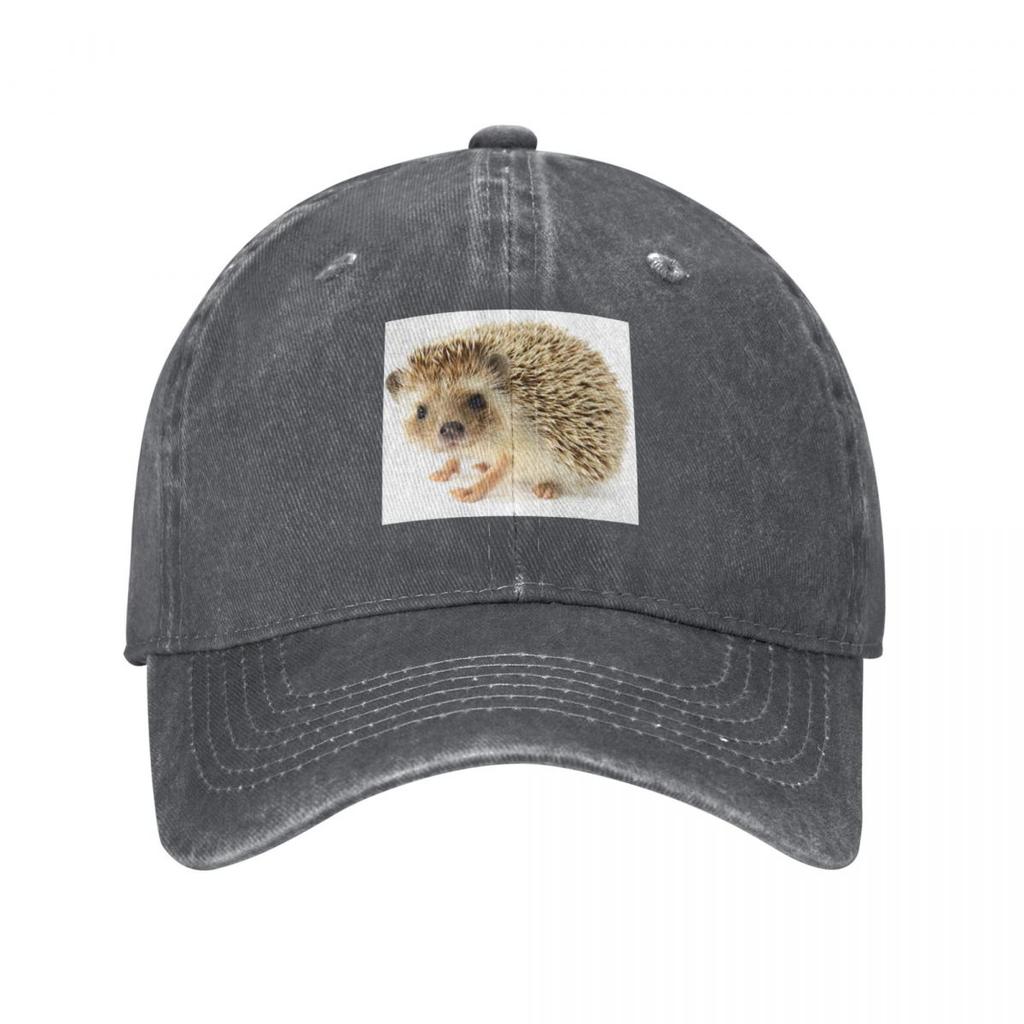 Cute Baby Hedgehog Baseball Cap Rave Hat Luxury Brand Beach Hat Unisex Luxury Unisexs Hats Womens