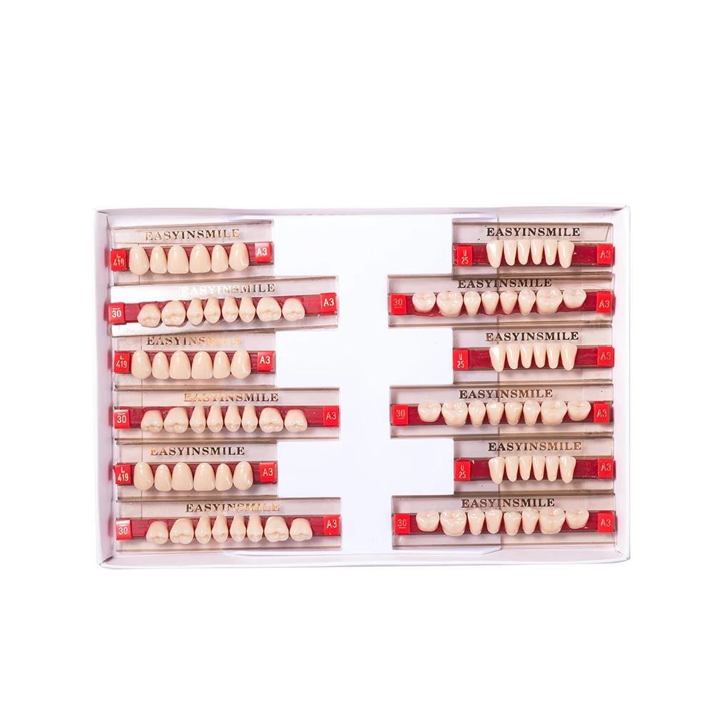 16/12 Sätze/Karton Zahnprothese Zähne Oberkiefer Frontzähne Unterkiefer Seitenzähne Dentier Synthetisches Polymerzähne Zahnmedizinische Ausbildungsmodell