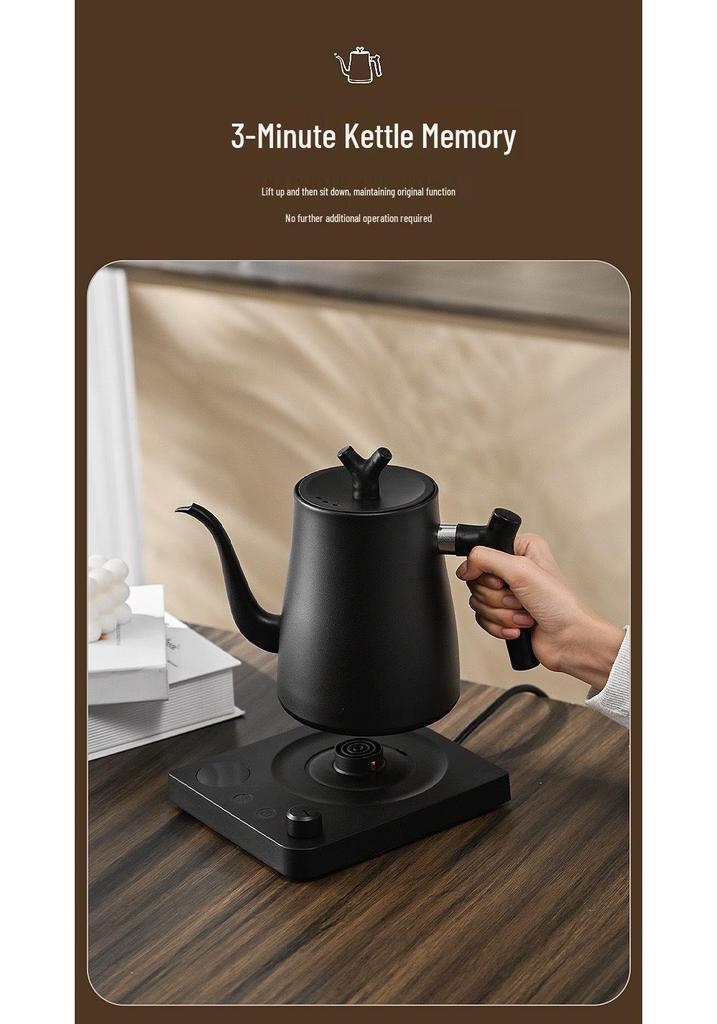Premium Stainless Steel Electric Kettle with Long Spout for Tea and Water Boiling