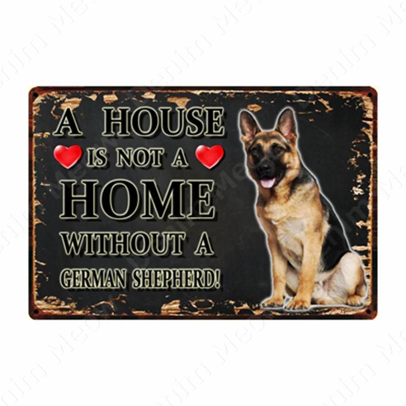 A House Is Not A Home Without A Dog Plaque, Vintage Metal Tin Signs, Bar, Cafe, Home Decor, Springer Spaniel, Wall Art Poster