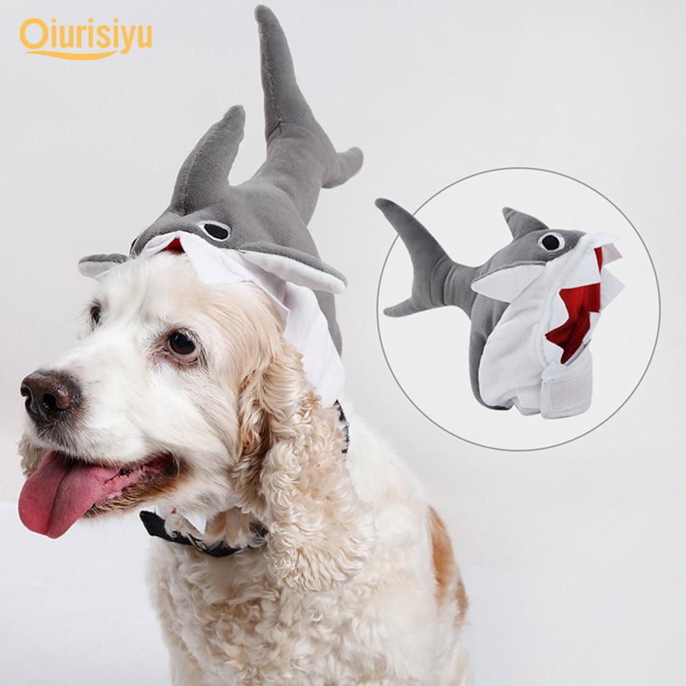 dog shark hat