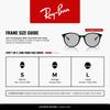 Sunglasses RB4334D Asian Fit Ray-Ban