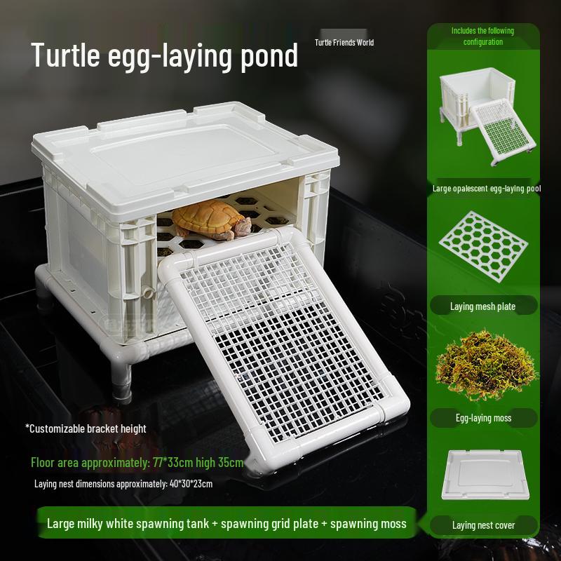 Turtle Egg-Laying Pond & Incubation Box with Basking Platform and Sand Pool