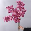Moisturizing Latex Artificial Orchid Flowers 80 CM Length Vanda Orchid Decor  Wedding Decoration