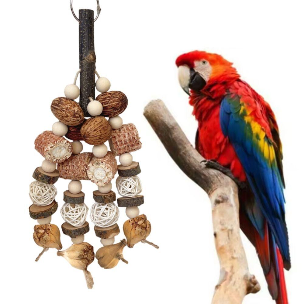 Natural Wood Bird Wood Nut Toy Corncob Bite Training Toy Parrot Chewing Toy  For Birds