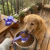 Creative 3D Printed Pet Feeding Spoon Non-Slip Food Grade Paw Shaped Pet Food Scoop Portable Plastic Cat Feeding Scoop Travel