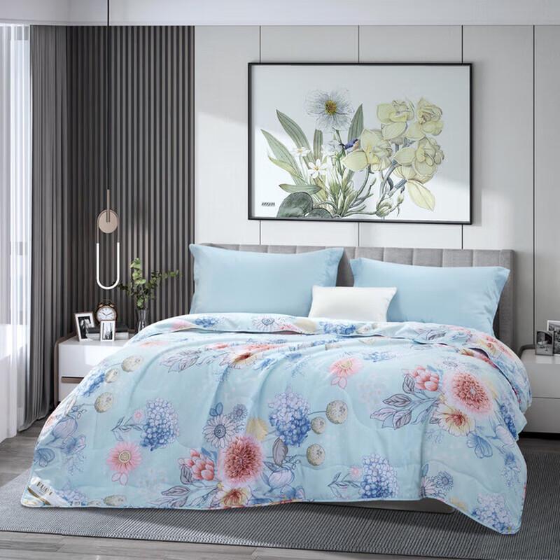 

FUANNA Printed Seven-Hole Antibacterial Summer Comforter