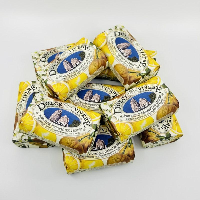 Nesti Dante Italian Scented Soap Dolce Vivere Capri, 250g X 10 Pcs