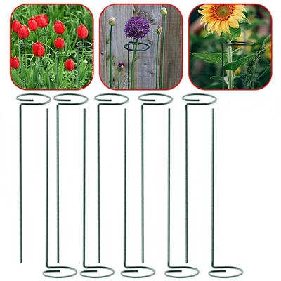 4/6pcs Plant Support Stakes Garden Flower Support Stake Steel Single Stem Support Ring for Amaryllis Tomatoes Orchid Lily Peony
