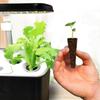 Éponges de culture de graines de remplacement Éponges de croissance racinaire Bouchons de démarrage de semis Démarrage de graines Capsule de graines Plantation de jardin hydroponique