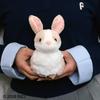 NICI Homies26 Bunny Plush Toy 12cm