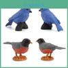Mini Bird Model Set With Pvc Material For Collection And Display