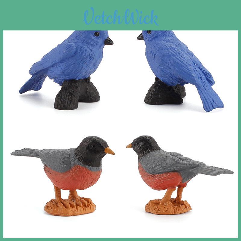 Mini Bird Model Set With Pvc Material For Collection And Display