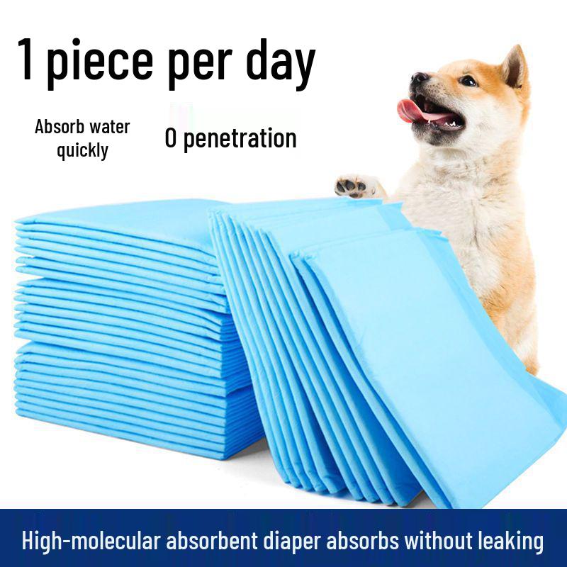 Absorbent Dog Training Pads - Thickened, Deodorizing Pet Urine Pads, Teddy Diapers for Dogs.