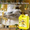 Powerful Kitchen Oil Stain Cleaner for Range Hoods