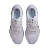 Nike Air Zoom Pegasus 41 Herren Reines Platin Helles Rüstungsblau FD2722-015